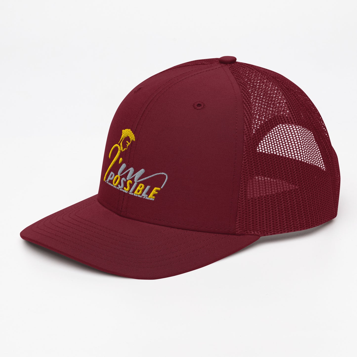 Defy Limitations Cap