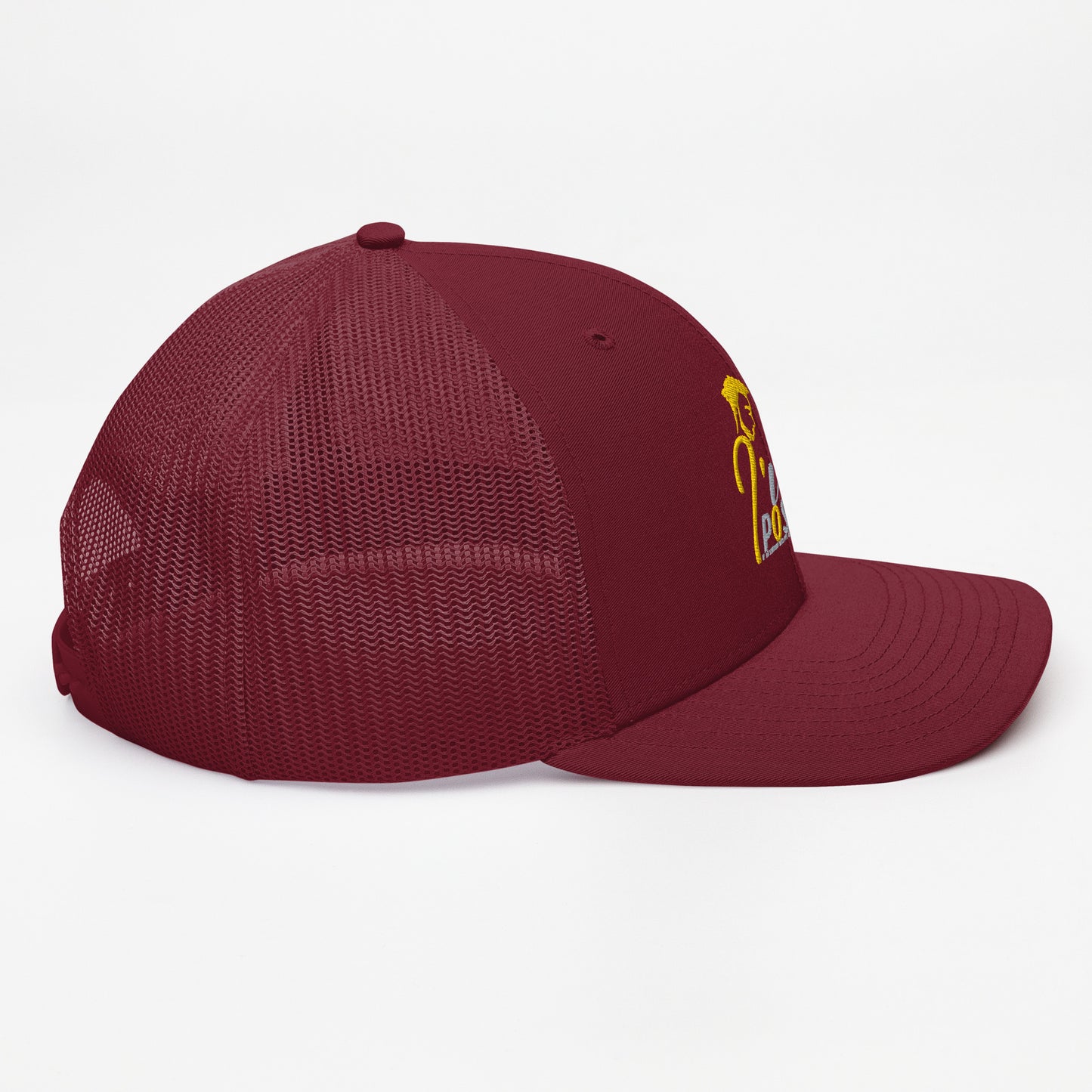 Defy Limitations Cap