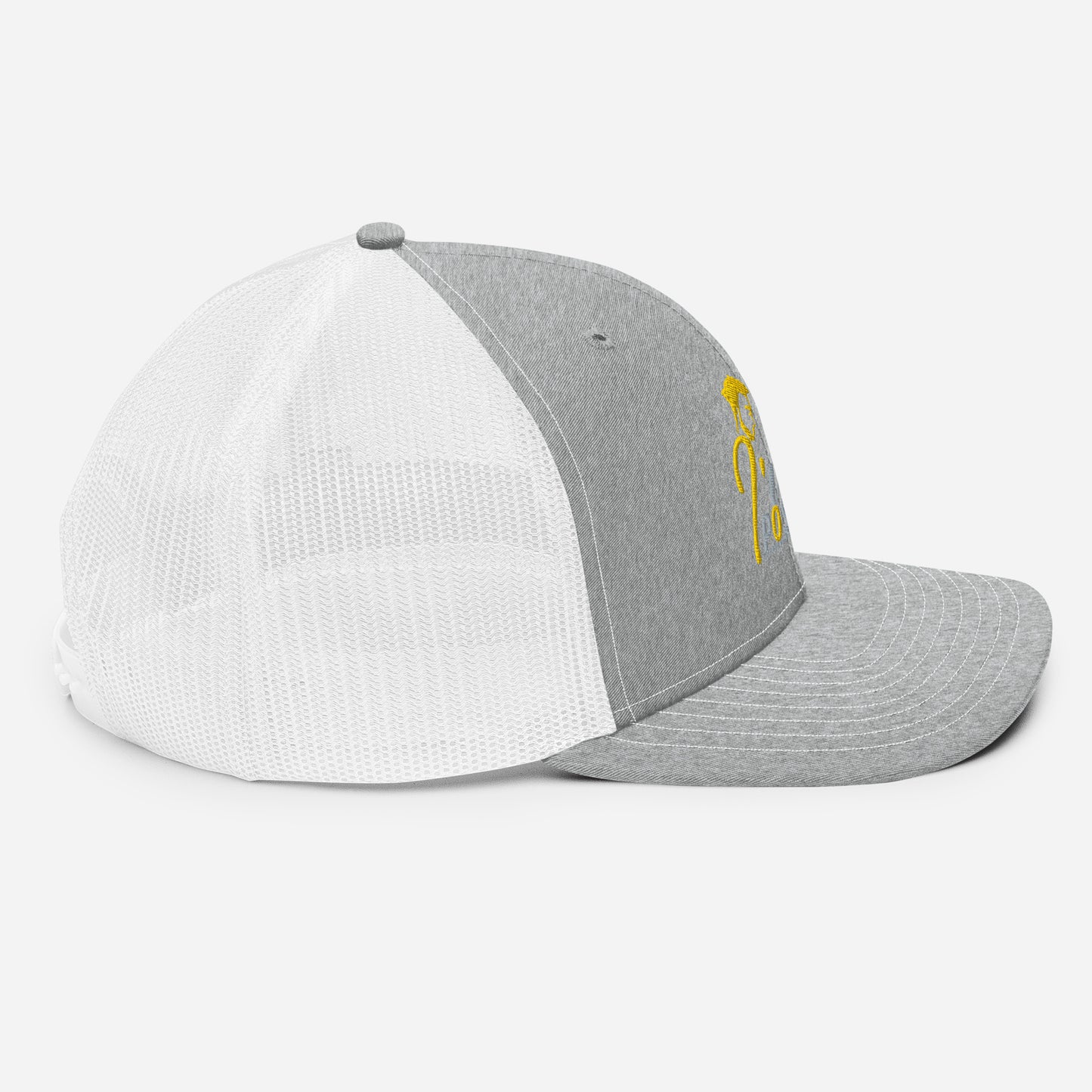 Defy Limitations Cap