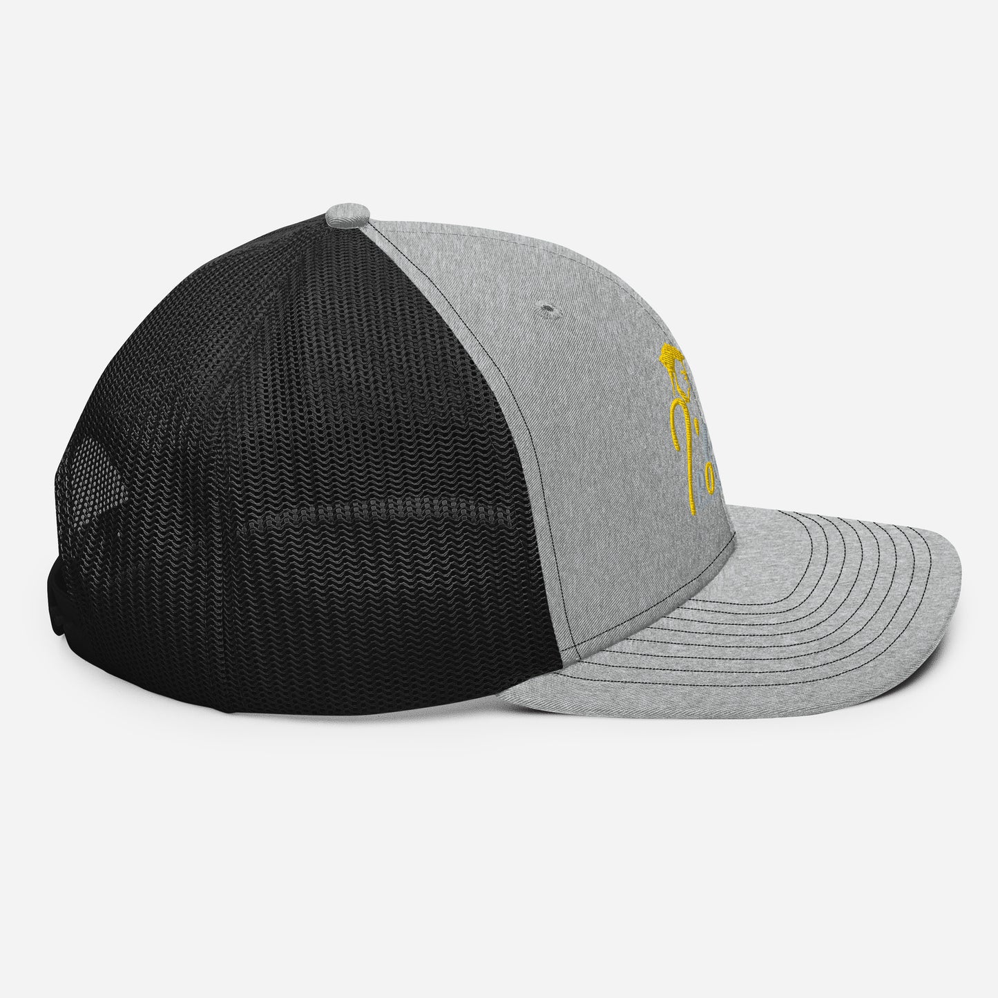 Defy Limitations Cap